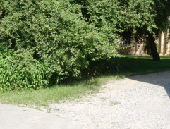 Táňa před katastrem III