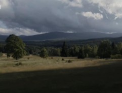 Cestou k fotopasti 2