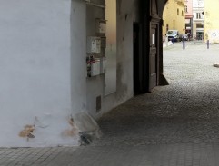 Můj strýček Archimedes