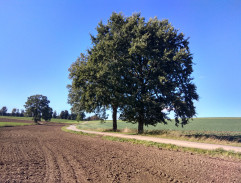 Cestou do dětského domova