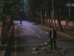 Rozházené květiny