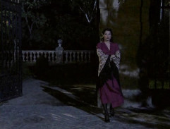 Prostitutka u brány do parku