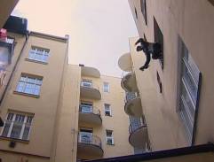 okno Kuřidýmovho bytu