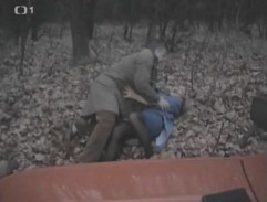 Znásilnění stopařky