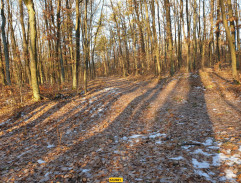 Plačící stopařka