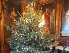 Vyslýchání služebné