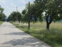 Parta kluků jde po silnici