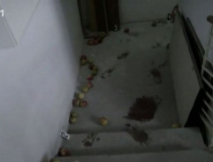 miesto nálezu Vierky