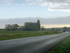Cesta