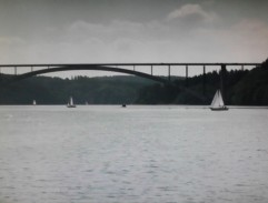 Téměř růžový příběh