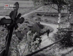 Králíci ve vysoké trávě