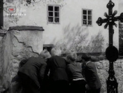 Králíci ve vysoké trávě