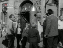 Králíci ve vysoké trávě