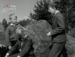 Králíci ve vysoké trávě