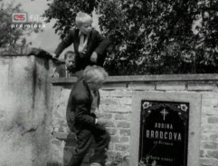 Králíci ve vysoké trávě