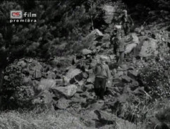 Králíci ve vysoké trávě