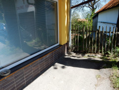 Králíci ve vysoké trávě