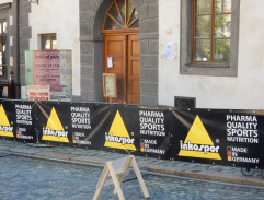 Králíci ve vysoké trávě