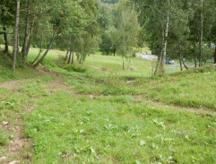 Králíci ve vysoké trávě