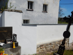 Králíci ve vysoké trávě