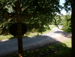 Králíci ve vysoké trávě