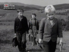 Králíci ve vysoké trávě