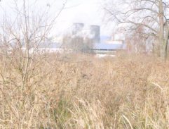 dom Toníkovej tety 2