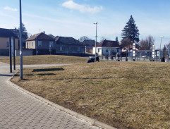 Autobusové nádraží