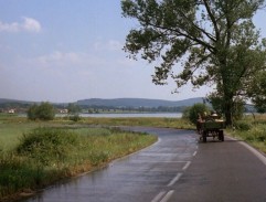 Zatáčka u rybníka