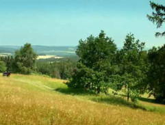 Velebníček jede krajinou