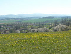 Uhelák a Popelák na světě