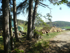 Uhelák a Popelák na voze