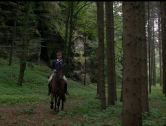 Kopyto v Černém lese