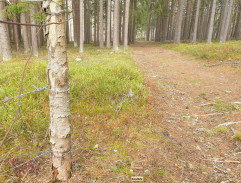 Sašova vzpomínka na dětství