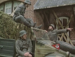 Stepující stonožka