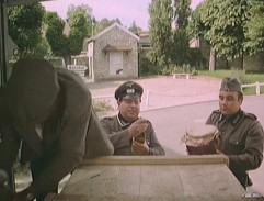 Stepující stonožka