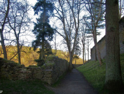 Luther jde do kláštera