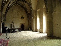 Rozhodování o Lutherovi