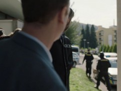 Zatčení Dubinových