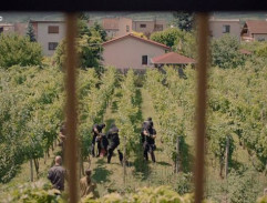 Zoltán Andrašovan vo vinici