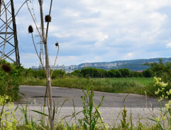 Noro vyblokoval Silviu