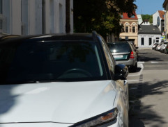 pred dílerovým domom 2