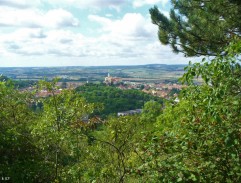 Sbírání brouků za městem