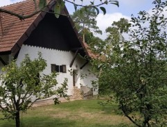 Pazderova horáreň 2