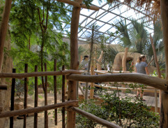 pavilón krokodílov