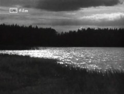 Rybník Křivonoska 2