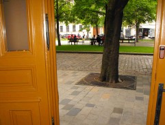 Skratka na námestie 2