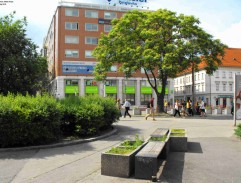 Vlado Valhar čaká na námestí