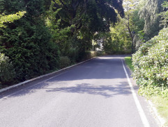 Auto veze stromeček