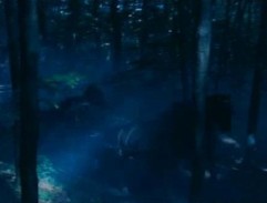 Erzsbetin kočár uhání tmou